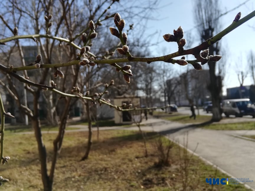 В первую неделю весны в Черноморске ожидается переменчивая погода