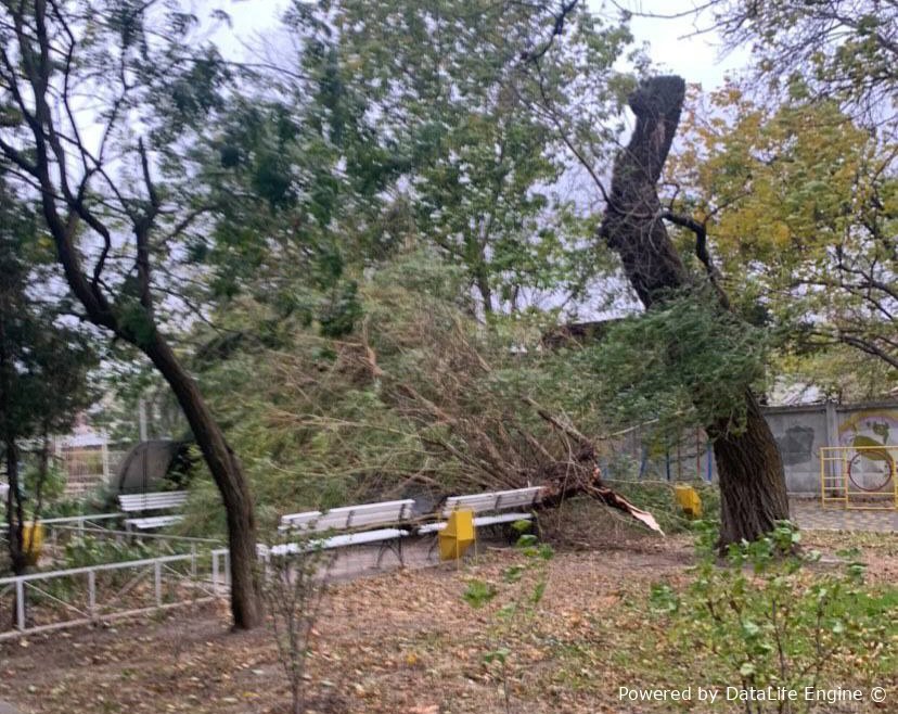 Буревій у Чорноморську: у місті повалено більше 5 дерев
