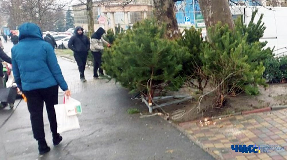 У Чорноморську визначили список адрес, де цього року працюватимуть ялинкові базари