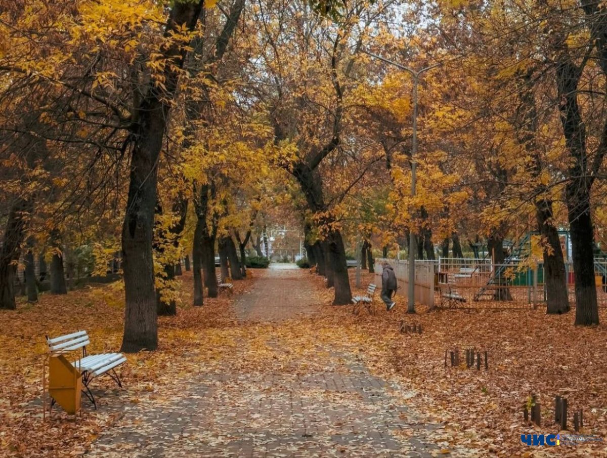 Якою буде погода у Чорноморську протягом тижня – з 3 по 9 листопада