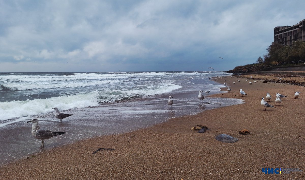 До Чорноморська йде похолодання через скандинавський антициклон