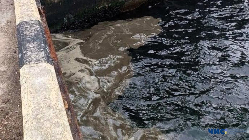 Екологічна катастрофа: 125 тонн соняшникової олії потрапили у Сухий лиман