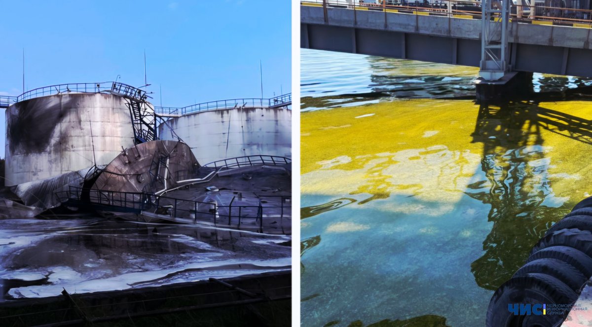 Атака по порту Чорноморська спричинила масову загибель морських організмів