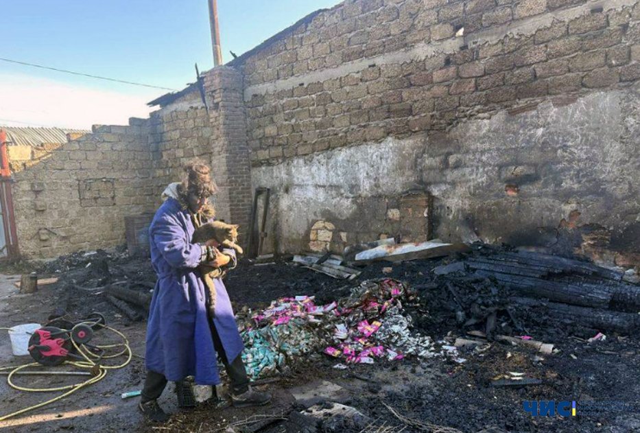 У Великодолинському ворог знищив притулок для тварин